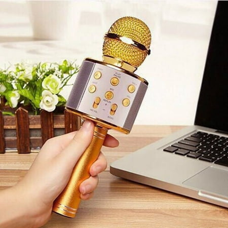 Taykoo WS-858 Bluetooth Wireless Karaoke Handheld Microphone,USB KTV Player Bluetooth Mic with Carring