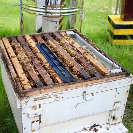 Small Bee Hive Mite Traps Control Supplies