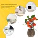 thumbnail image 4 of 2 piezas de plantas artificiales en maceta para escritorio, decorativas, para árbol frutal, para escritorio, decoración de macetas, 4 of 6