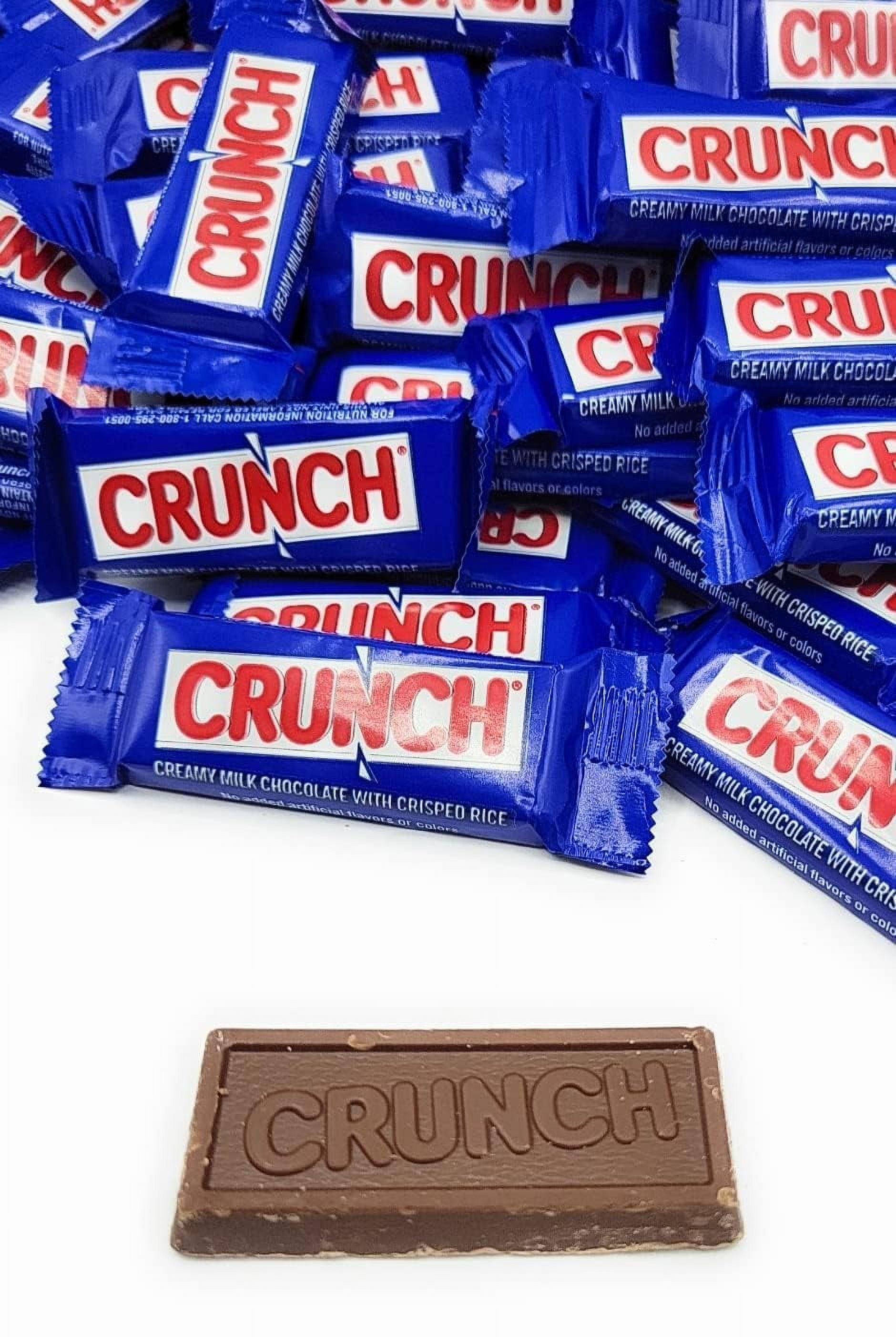 Fun Size Chocolate Bar - Creamy Milk Chocolate and Crisped Rice - Individually wrapped Fun Size Candy bars – Bulk Pack (3 Pound)