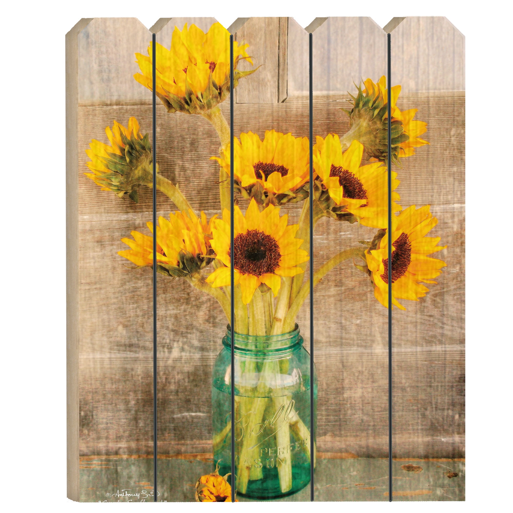 C Sunflower Against The Fence Art Print Home Decor Wall Art Poster 