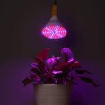 thumbnail image 5 of Gostoto LED Plant Grow Light Bulb 48LEDs-300LEDs SMD2835 Plant Light for Flowers Vegetables Greenhouse Hydroponic Growing(Bulb Base E26 E27 E14 MR16 GU10 B22), 5 of 8