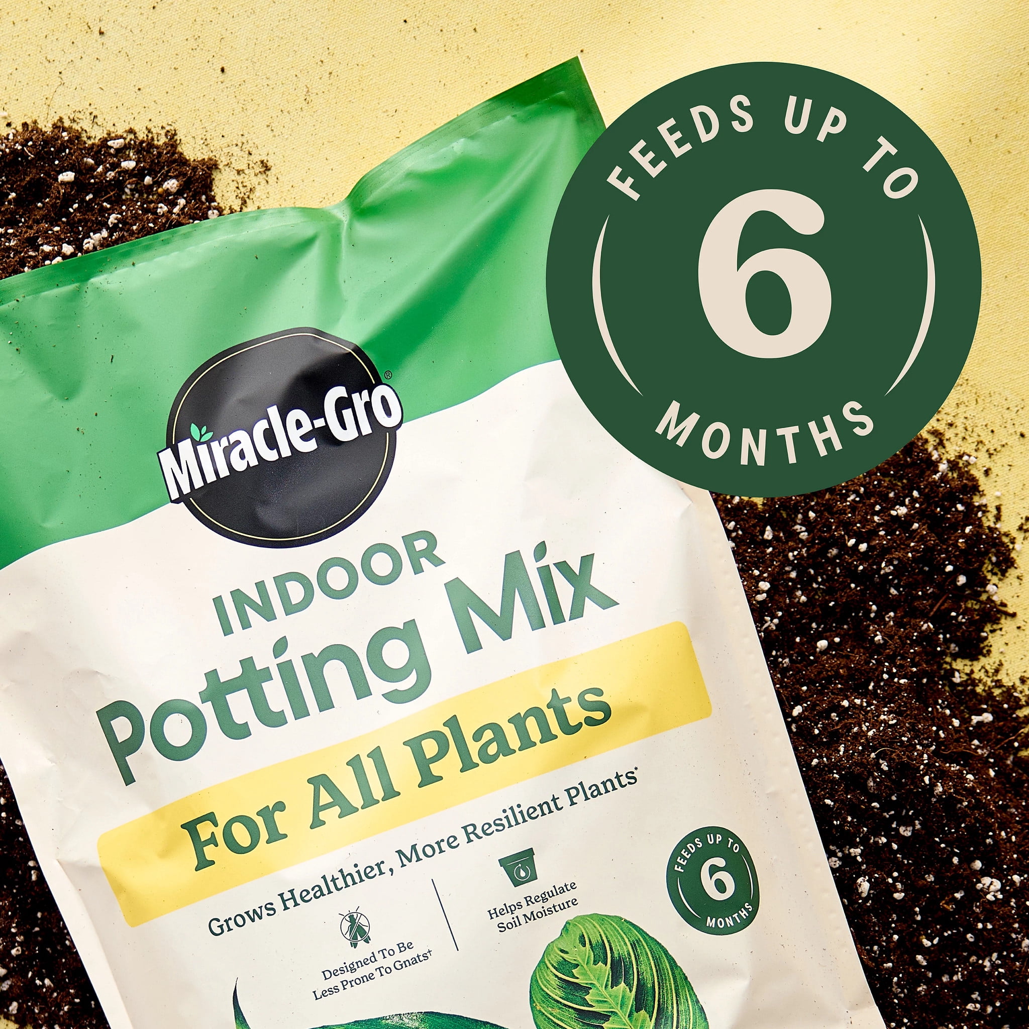 Miracle-Gro Indoor Potting Mix for All Plants, Use with Houseplants and More, 6 qt.