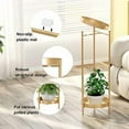 thumbnail image 3 of Plant Stand Plant pots Indoor Stands – Metal Flower Pots Stand Plant Shelf for Multiple Plants,2 Tier Removable Display Plant Table Gardeing Gifts for Living Room Outdoor Garden Balcony Décor Gold, 3 of 7