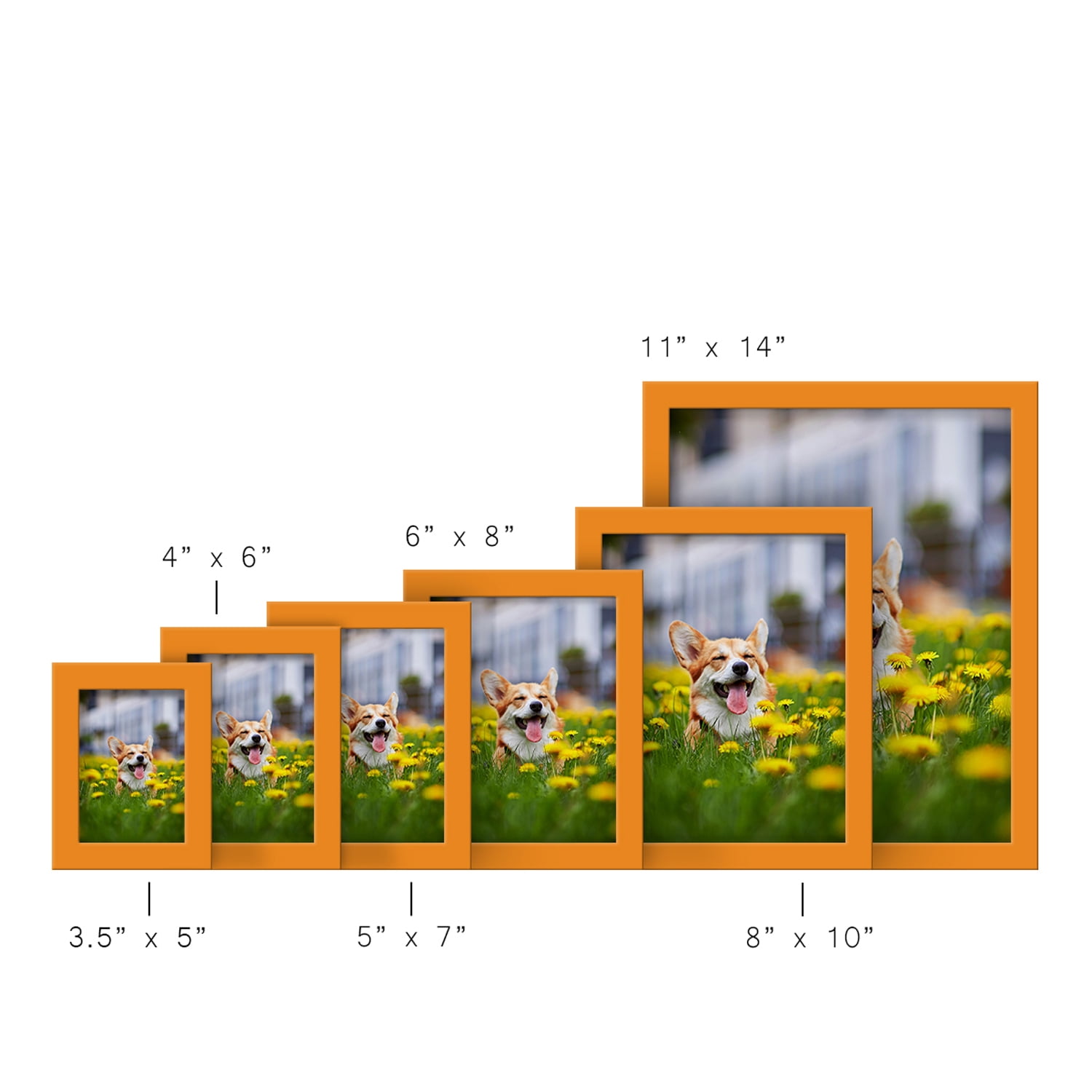 Modern 8 in. x 10 in. Orange Picture Frame (Set of 2)