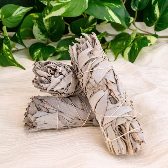 Down To Earth White Sage Smudge Stick 1"x4"
