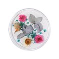 thumbnail image 2 of Uñas postizas, regalos para mujeres, decoración de uñas con flores secas, uñas japonesas, encaje 3D inmortal, juego de narcisos, lentejuelas para uñas., 2 of 2