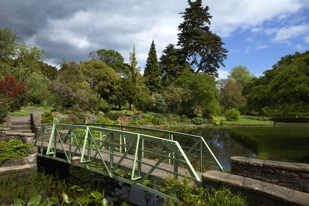 Bridge Over The Rib