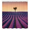 thumbnail image 3 of Ambesonne Floral Shower Curtain, Lavender Flowers Field, 69"Wx75"L, Purple Peach, 3 of 5