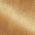 thumbnail image 5 of Garnier Nutrisse Nourishing Hair Color Creme, 83 Medium Golden Blonde Cream Soda, 5 of 7