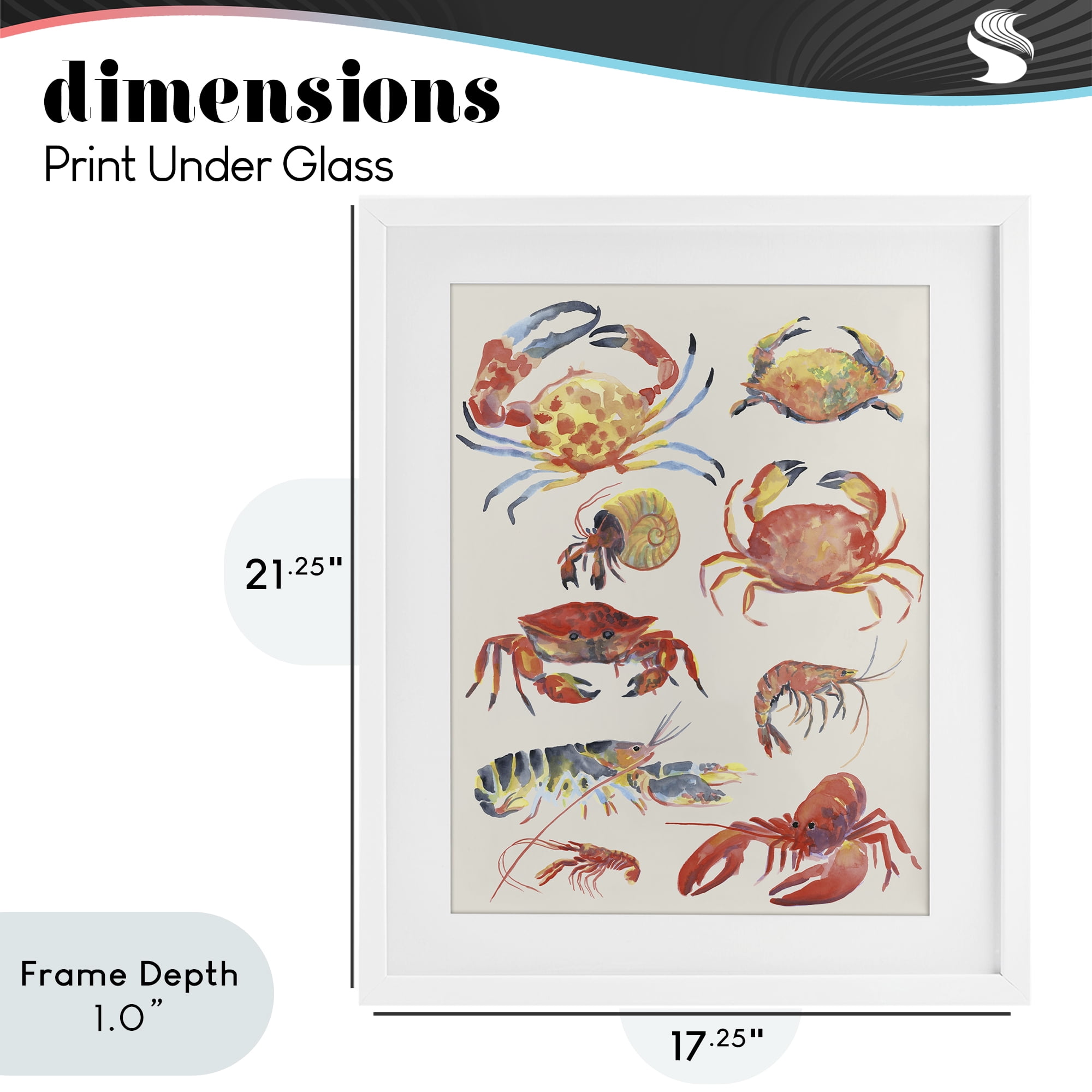 Stupell Industries Nautical Crustacean Collection White Framed Print Under Glass, design by June Erica Vess