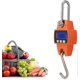 thumbnail image 1 of Crane Scale - Mini Portable Digital Lcd Electronic Hanging Scale Game Crane Scale With 300kg Scale With Hook For Travel Suitcase Fishing Outdoor Hunti, 1 of 4