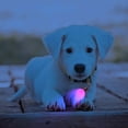 thumbnail image 2 of Pink & Jade Pet Blinker Pet Safety Light, 2 of 3