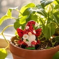 thumbnail image 4 of Kmonabie Resin Garden Gnome Ornament Set, 3 Miniature Fairy Gnome Statues with Insect Floral Details, Small Tabletop Planter Decor for Indoor Outdoor Fairy Garden Scene, Red, 4 of 7