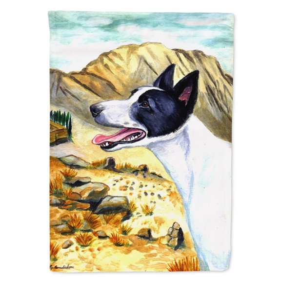 Carolines Treasures 7018-FLAG-PARENT Canaan Dog  Flag  multicolor