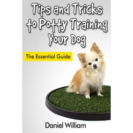 Tips and Tricks to Potty Training Your Dog -