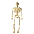 thumbnail image 2 of 6in Halloween Skeleton Hanging Ornament - Mini Poseable Plastic Skeleton Props in 4 Colors for Party Favors,Tree Decor,and Haunted House Props,Beige, 2 of 8