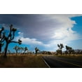thumbnail image 2 of Erin Berzel 32x23 White Modern Wood Framed Wall Art Titled - Joshua Tree National Park IV, 2 of 5