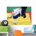 thumbnail image 1 of Judo Wall Mural by Wallmonkeys Peel and Stick Graphic (36 in W x 27 in H) WM44899, 1 of 4