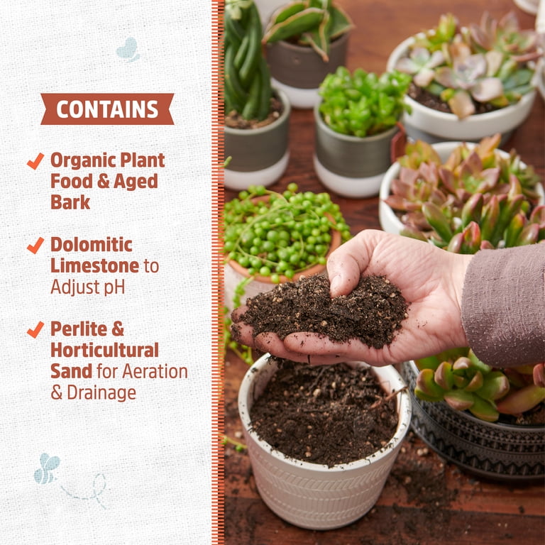 Back to the Roots 6qt Organic Succulents and Cacti Soil (2 packs)