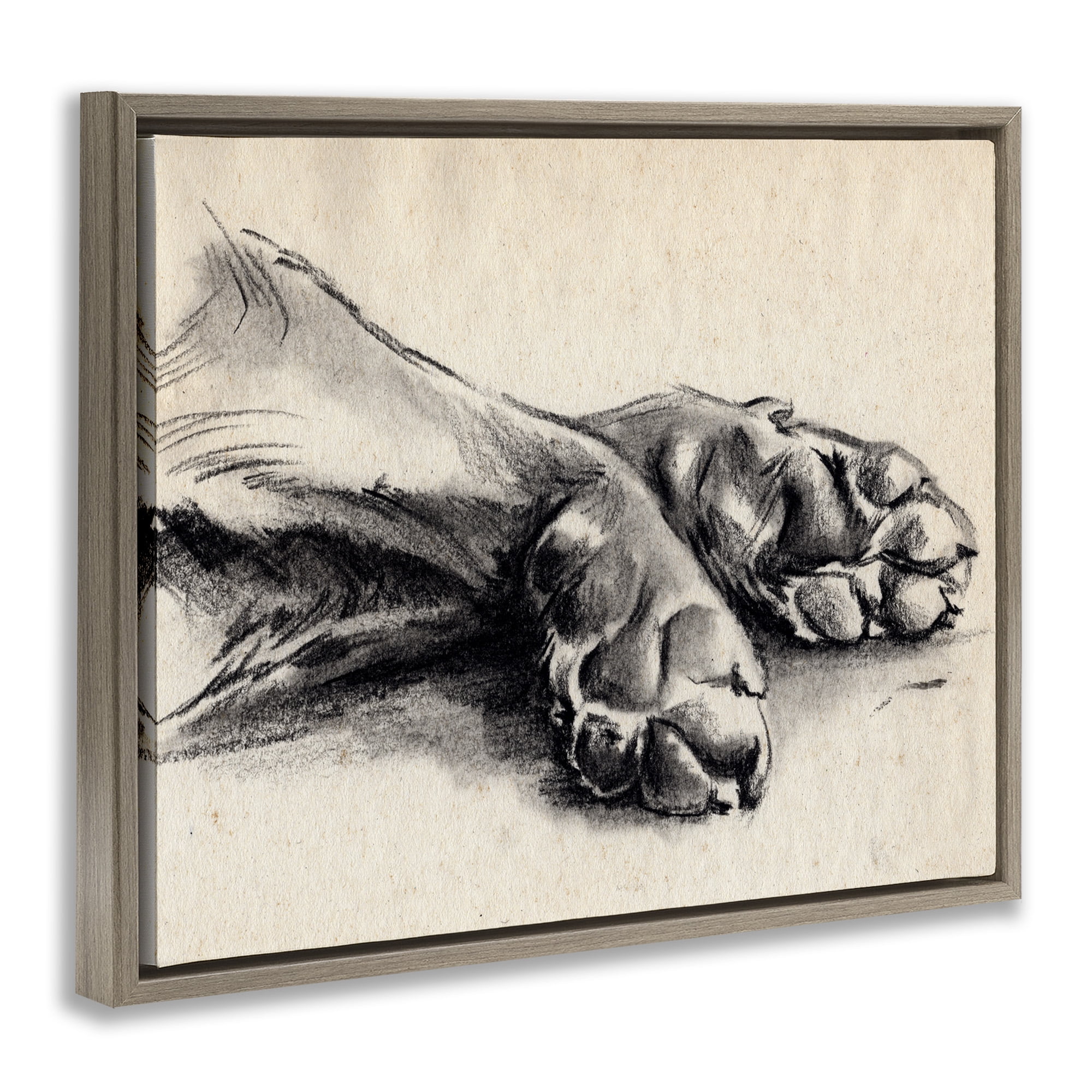 Stupell Industries Dog Paw Charcoal Design Animals & Insects Drawing Brown Floater Framed Canvas Art Print Wall Art, 31 x 25