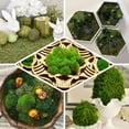 thumbnail image 5 of Efavormart 50g/Bag Green Preserved Natural Reindeer Moss Wedding Decoration Birthday Party Arrangement, 5 of 10