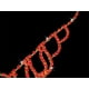 thumbnail image 3 of Collar nupcial y pendientes establecidas jinwen  Collar nupcial y pendientes establecidas, 3 of 6