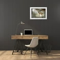 thumbnail image 3 of Visser, Michiel 32x23 White Modern Wood Framed Museum Art Print Titled - Young Deer, 3 of 4