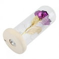 thumbnail image 3 of Garosa Preserved Rose Flower LED Light with Glass Cover & Wooden Base Valentines'Day Wedding Gift    ,Preserved Rose Flower, Rose Flower with Glass Cover, 3 of 6