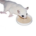 thumbnail image 2 of Sugar Glider HPW Diet Original 12 oz. Jar., 2 of 9