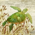 thumbnail image 2 of Brent, Paul 15x15 White Modern Wood Framed Museum Art Print Titled - Calypso Turtles I, 2 of 4
