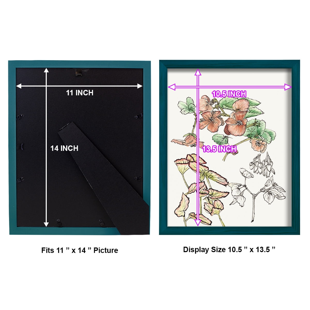 Begonia Study -Framed Print w/glass-Ocean Blue