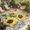 Yellow, variant on Sunflowers Outdoor Rug for Patio/Deck/Porch, Non-Slip Large Area Rug 5 x 7 Ft, Botanical Floral Farmhouse Retro Wood Grain Indoor Outdoor Rugs Washable Area Rugs, Reversible Camping Rug Carpet Runner