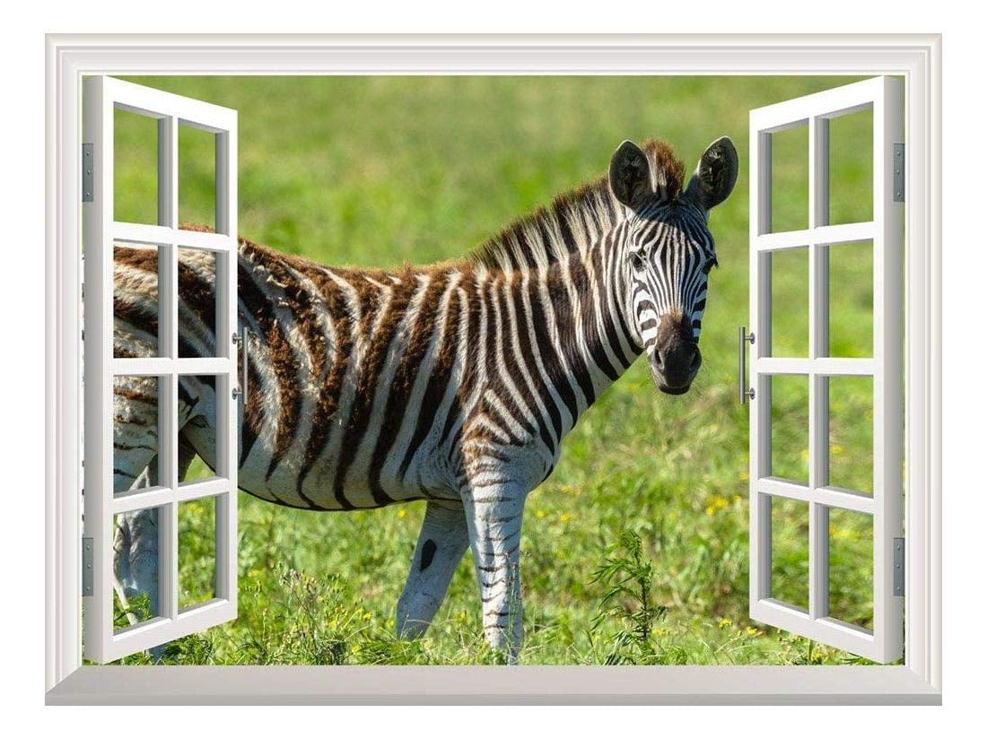 Removable Wall Sticker/Wall Mural - Open Field with a Zebra Walking by | Creative Window View Wall Decor - 24'x32'