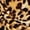 Caterina Cheetah, variant on INC International Concepts Plus Size Animal Print Side Tie Cotton Top Caterina Cheetah 4X