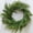 Cedar, variant on Guvpev 22" Artificial Cedar Christmas Wreath - Real Touch Christmas Cedar Wreath for Front Door, Walls, Windows, Porches, Indoor Outdoor Christmas Decorations, Seasonal Decor