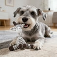 thumbnail image 4 of Fall Squeaky Soft Chew Toy for Dogs Interactive Teething Puppy Pet Training, 4 of 4