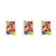 thumbnail image 1 of Cateissary Flores secas naturales en relieve flores prensadas decoración hogar para tarjetas de boda de resina Color Floral tipo B Type1 NO1, 1 of 6
