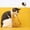 Yellow, variant on dgysar Artistic Cultural Series Feather Teaser Wand with Long Rope and Bell Interactive Cat Teaser Stick for Self-Playing Boredom Relief and Hunting Exercise