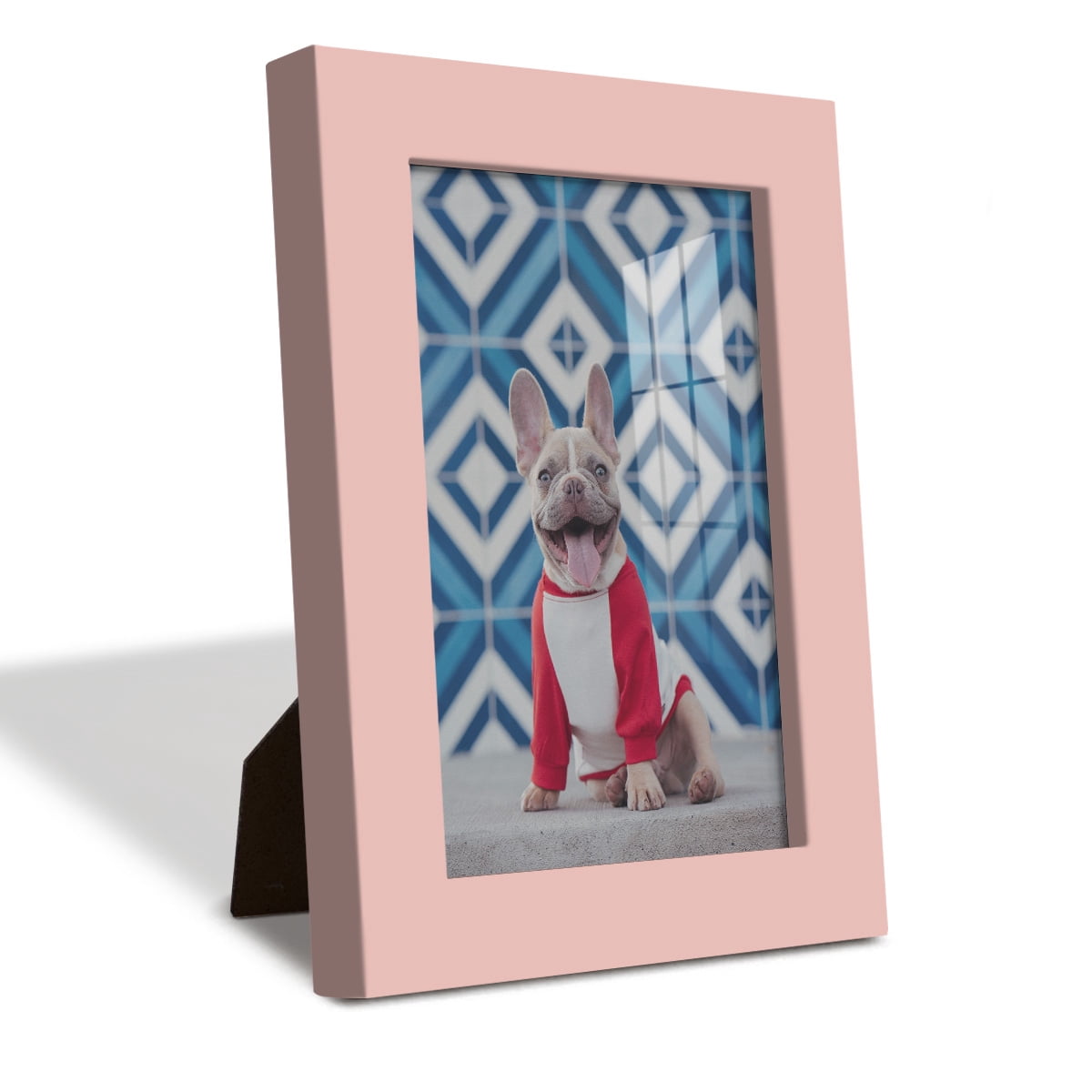 Modern 4 in. x 6 in. Pink Picture Frame (Set of 4)