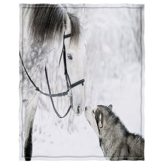 YISUEMI 50x60 inches Blanket Throw Comfort Warmth Soft Plush Throw for Couch Husky Is Curious About The Horse