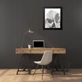 thumbnail image 4 of Koetsier, Albert 20x24 Black Modern Framed Museum Art Print Titled - Anise in BandW, 4 of 5