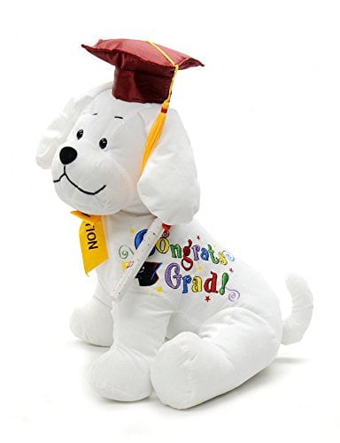 10.5'' Plush Teddy PINK Graduation Autograph Stuffed Dog Congrats Grad 