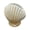 1, variant on Tibvox Elegant Sea Shell Flower Pot With 3D Finishing Design Ideal For Small Plant