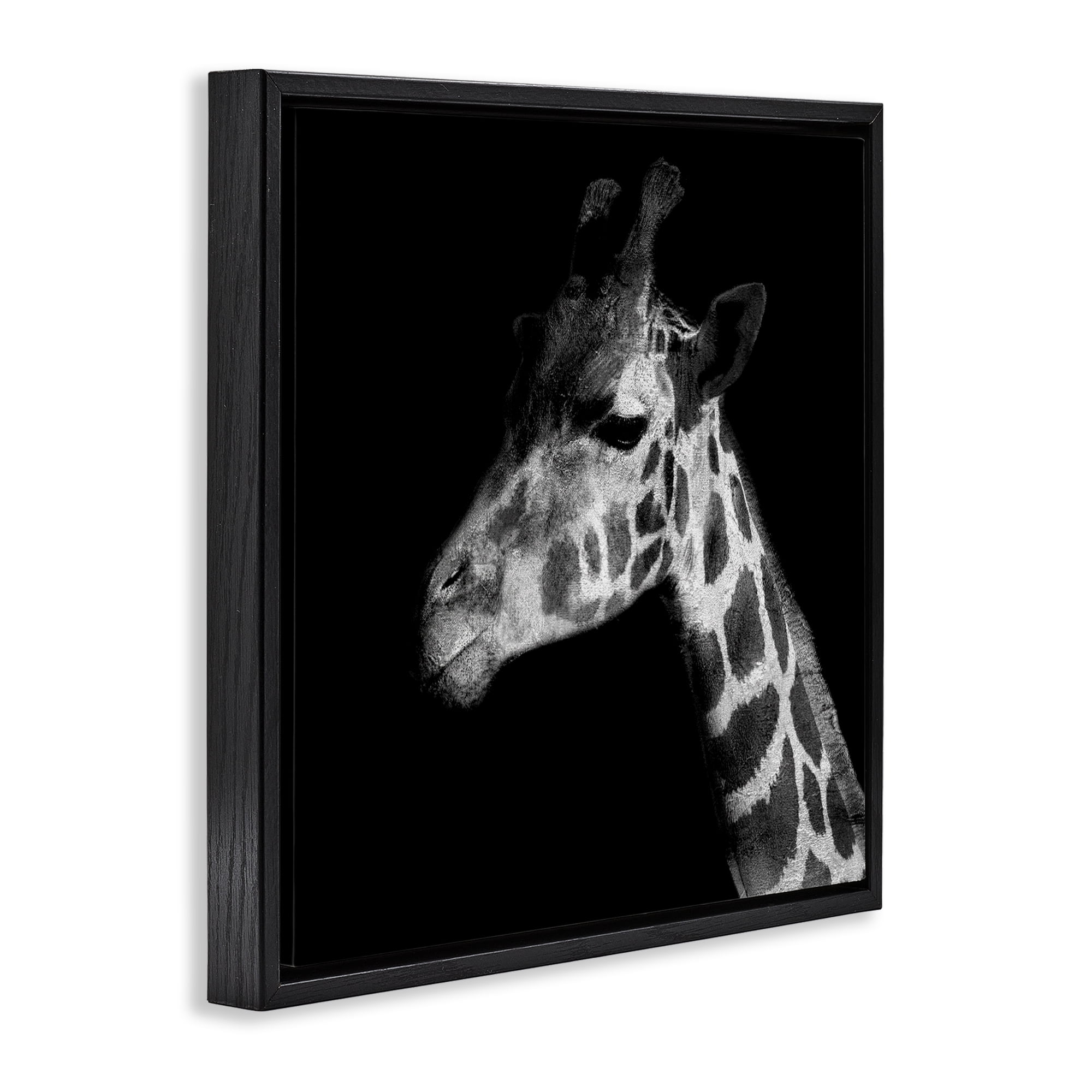 Stupell Industries Jungle Giraffe Portrait Animals Photography Black Floater Framed Canvas Art Print Wall Art, 18 x 18