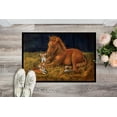 thumbnail image 2 of Carolines Treasures 7329MAT Corgi Sunrise avec Tapis Intérieur & Extérieur - 18 x 27 Po., 2 of 4
