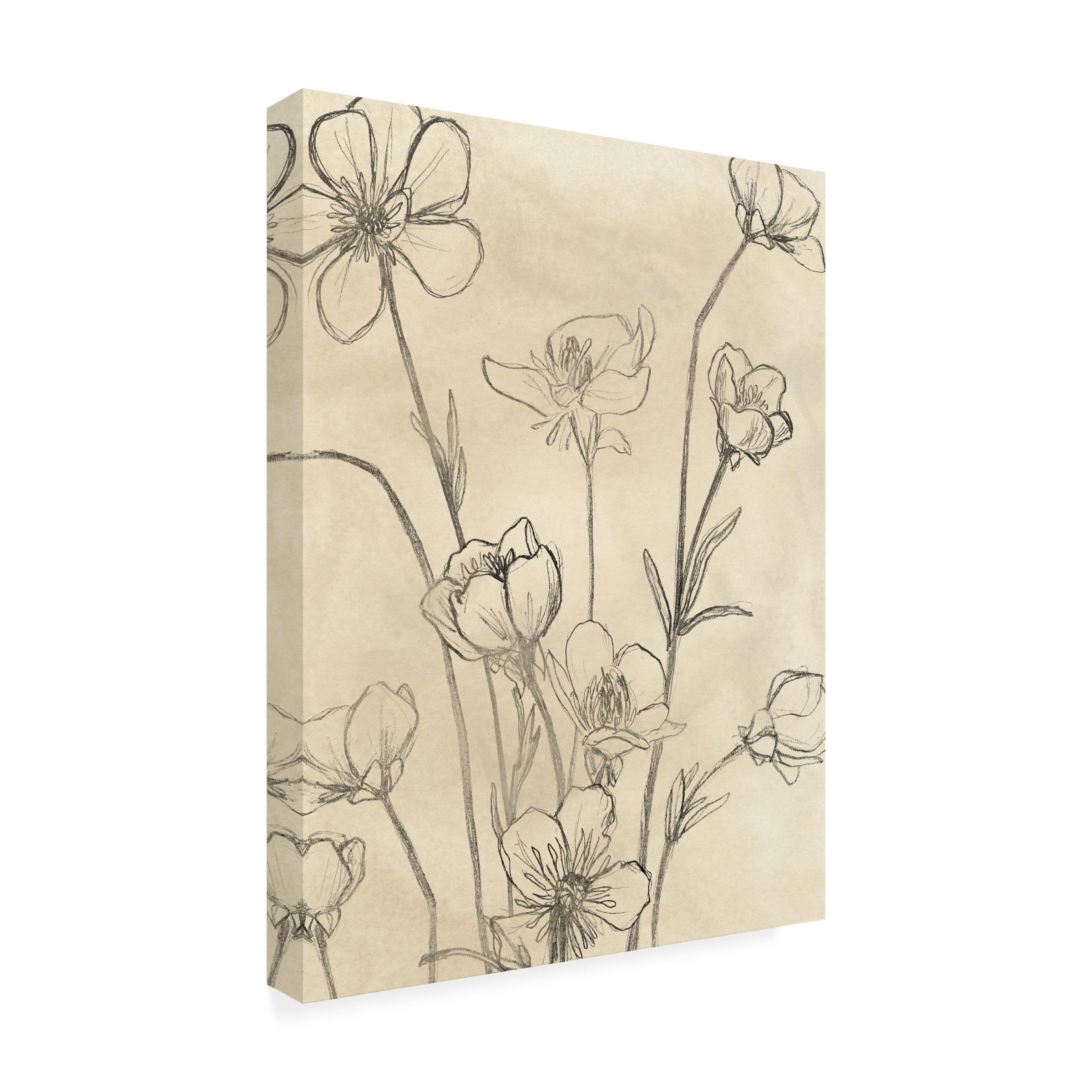 June Erica Vess 'Vintage Wildflowers II' Canvas Art