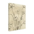 thumbnail image 2 of June Erica Vess 'Vintage Wildflowers II' Canvas Art, 2 of 4