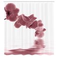 thumbnail image 2 of Ambesonne Floral Shower Curtain, Orchid Composition Garden, 69"Wx70"L, Mauve Taupe, 2 of 4