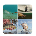 thumbnail image 3 of Kit De Accesorios Para Pesca  Señuelos 181 Pzas, 3 of 3